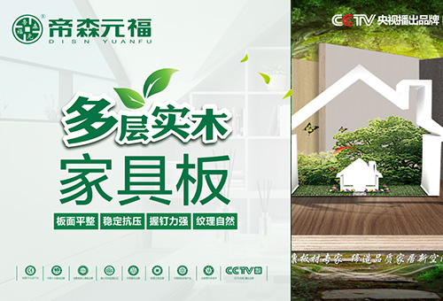 加盟帝森元福