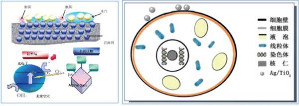 韩氏ENF级抗菌防霉板丨健康居上,颜值更高