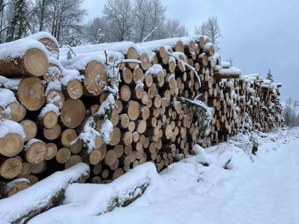 铆足干劲 擂响战鼓 联投福汉木业开年起跑冲刺“开门红”