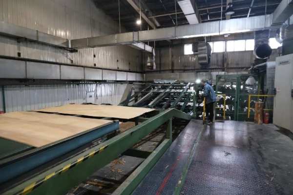 铆足干劲 擂响战鼓 联投福汉木业开年起跑冲刺“开门红”