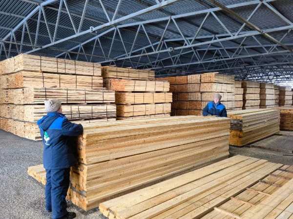 铆足干劲 擂响战鼓 联投福汉木业开年起跑冲刺“开门红”