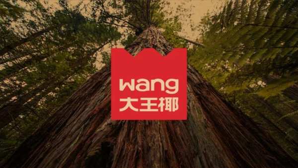 以崭新的面貌开启新程 大王椰揭开全新品牌LOGO的神秘面纱