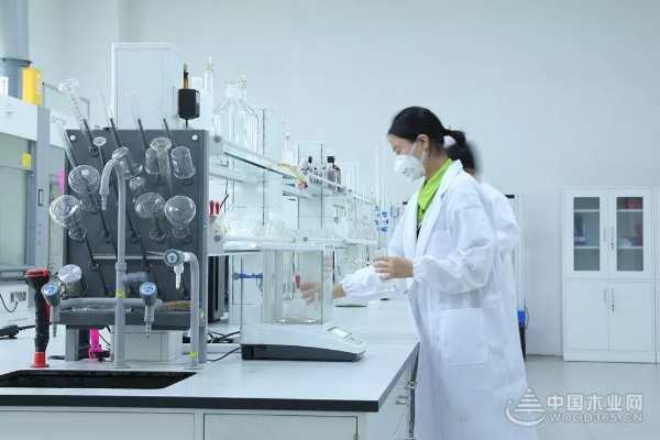 以木逐梦 励木板材砥砺奋进全面开启品牌之路