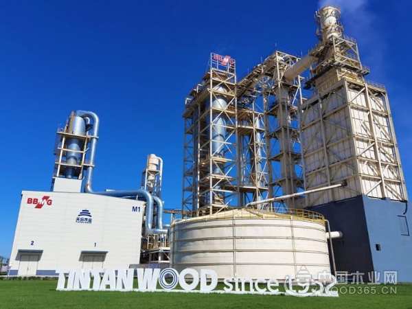 荣誉加身 金隅天坛木业夺得金匠榜“刨花板十大品牌”