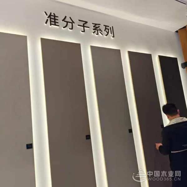 焕新而来 实力出圈 冠美森源惊艳广州定制家居展！