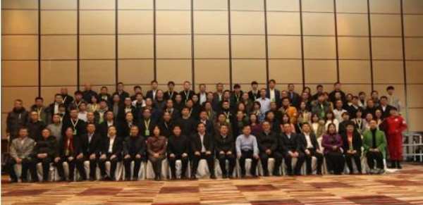 喜讯频传 十大生态板品牌壮象再获殊荣