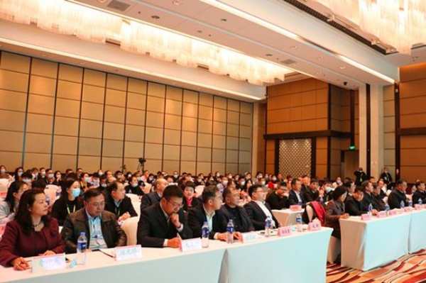 喜讯频传 十大生态板品牌壮象再获殊荣