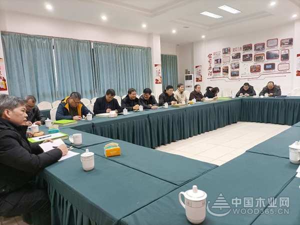 深入交流 柳城县政协主席一行莅临鹏森缘木业产业园参观考察