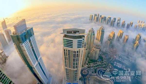 聚势赢未来·2020兔宝宝地板联合DOMOTEX asia开启全球线上招商会