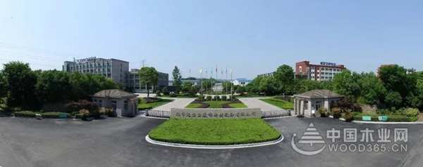 聚势赢未来·2020兔宝宝地板联合DOMOTEX asia开启全球线上招商会