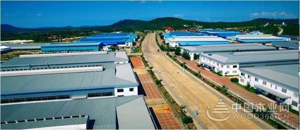 聚势赢未来·2020兔宝宝地板联合DOMOTEX asia开启全球线上招商会