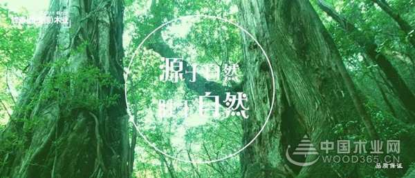 康贝德丨工装装修-大型公共场所装修工程专用板材