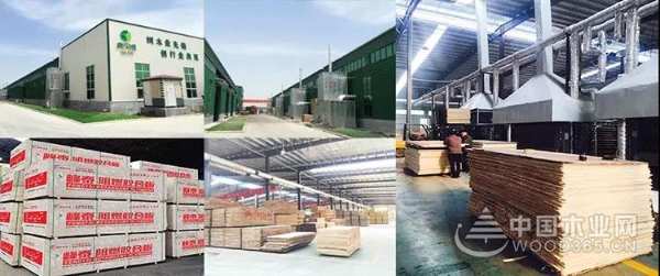 康贝德丨工装装修-大型公共场所装修工程专用板材