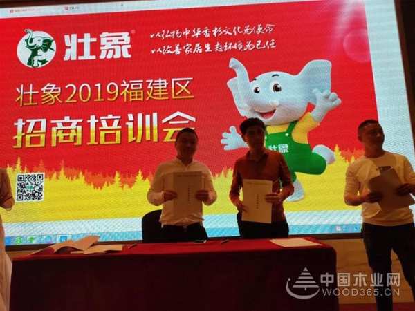 新形势 新形象丨2019壮象品牌营销模式培训会（福建站）圆满落幕！