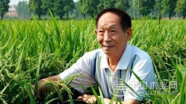 缘起香杉 壮象祝袁隆平院士90寿诞快乐！