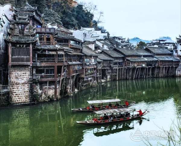 缘起香杉 壮象祝袁隆平院士90寿诞快乐！