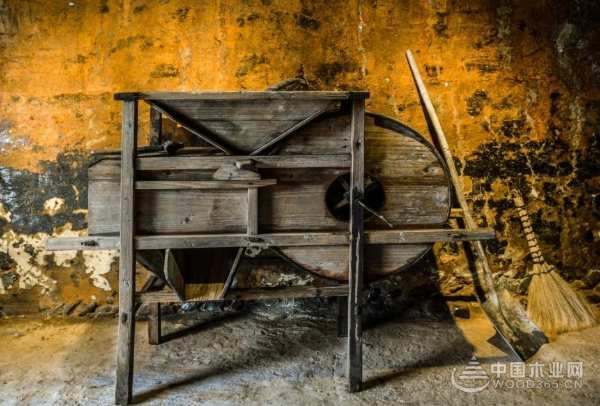 缘起香杉 壮象祝袁隆平院士90寿诞快乐！