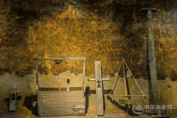 缘起香杉 壮象祝袁隆平院士90寿诞快乐！