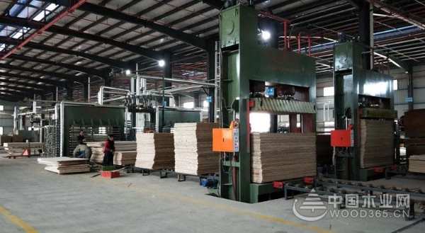 红崀山木业：上下一心 用真芯实材智造优质产品