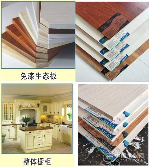 红崀山木业：上下一心 用真芯实材智造优质产品