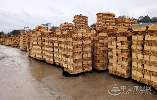 红崀山木业：上下一心 用真芯实材智造优质产品