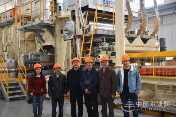 再迎贵宾 志邦、索菲亚深度考察科林木业