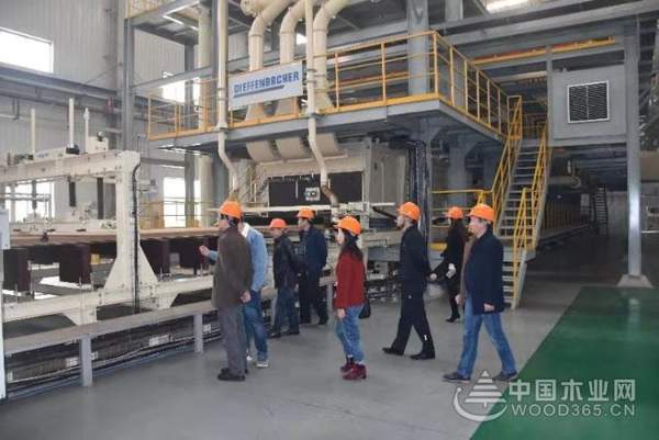 再迎贵宾 志邦、索菲亚深度考察科林木业