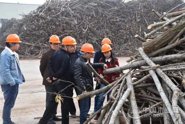 再迎贵宾 志邦、索菲亚深度考察科林木业