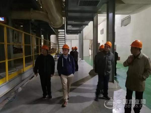 再迎贵宾 志邦、索菲亚深度考察科林木业