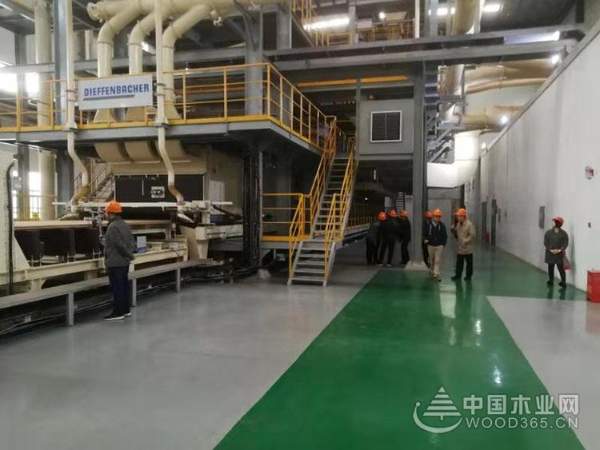 再迎贵宾 志邦、索菲亚深度考察科林木业