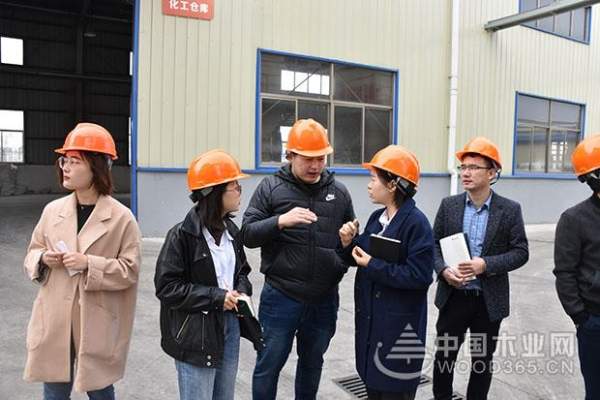 顾家家居领导一行慕名到访科林木业