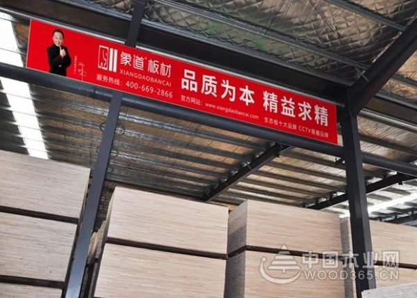 邵峰：秉承匠心 为象道板材品牌代言