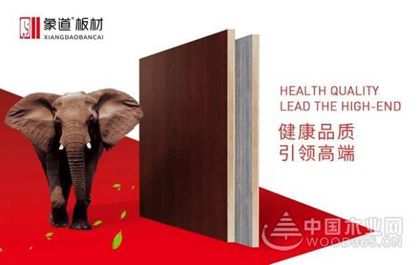 邵峰：秉承匠心 为象道板材品牌代言