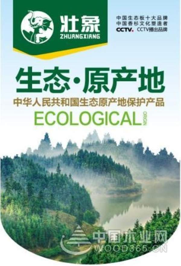 壮象——以品质入道