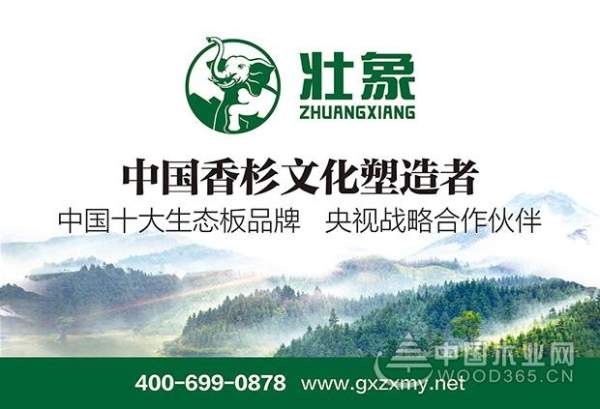 壮象——以品质入道