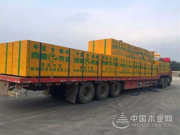 王者风范,谁与争锋!百信木业实力问鼎“建筑模板十大品牌”!