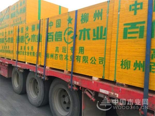 王者风范,谁与争锋!百信木业实力问鼎“建筑模板十大品牌”!