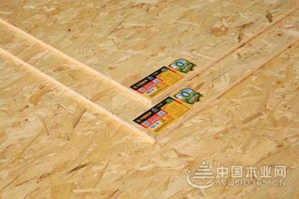 百强板材：当荷兰酒吧遇上OSB板