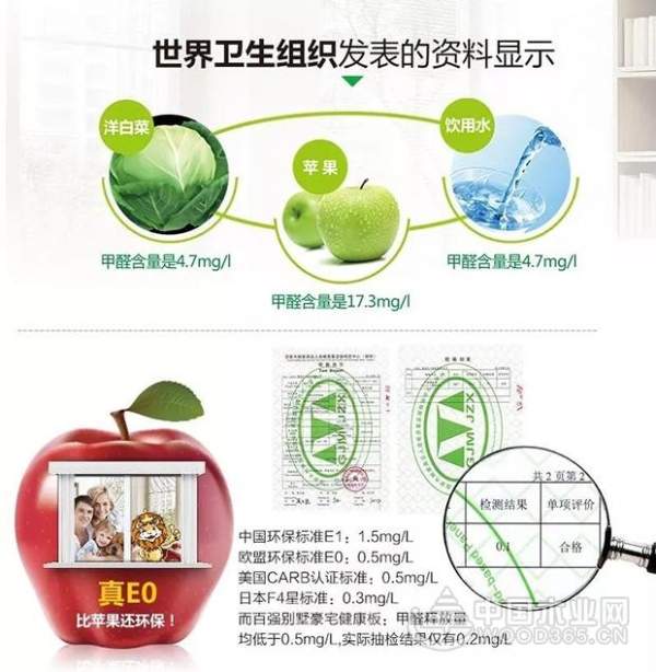 百强板材：当荷兰酒吧遇上OSB板