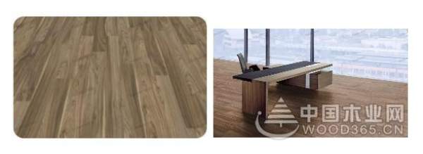 兔宝宝，德国造！