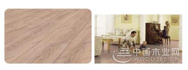 兔宝宝，德国造！