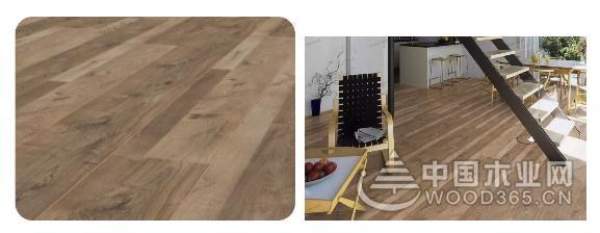 兔宝宝，德国造！