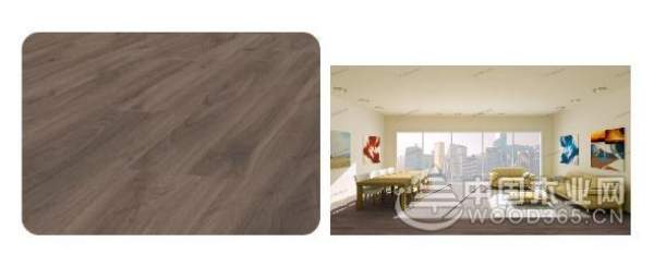 兔宝宝，德国造！