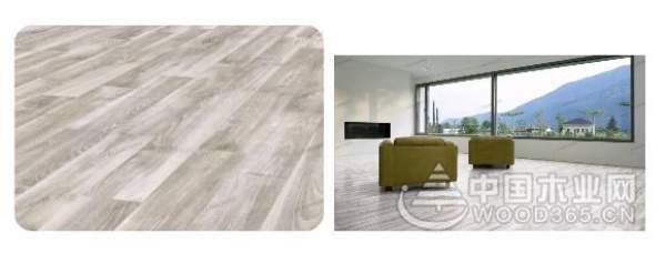 兔宝宝，德国造！