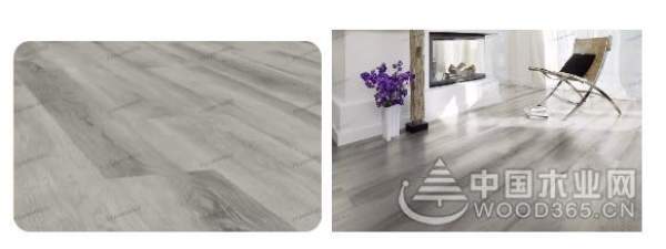 兔宝宝，德国造！